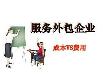 服務外包企業(yè) 企業(yè)服務領域的重要引擎與未來趨勢